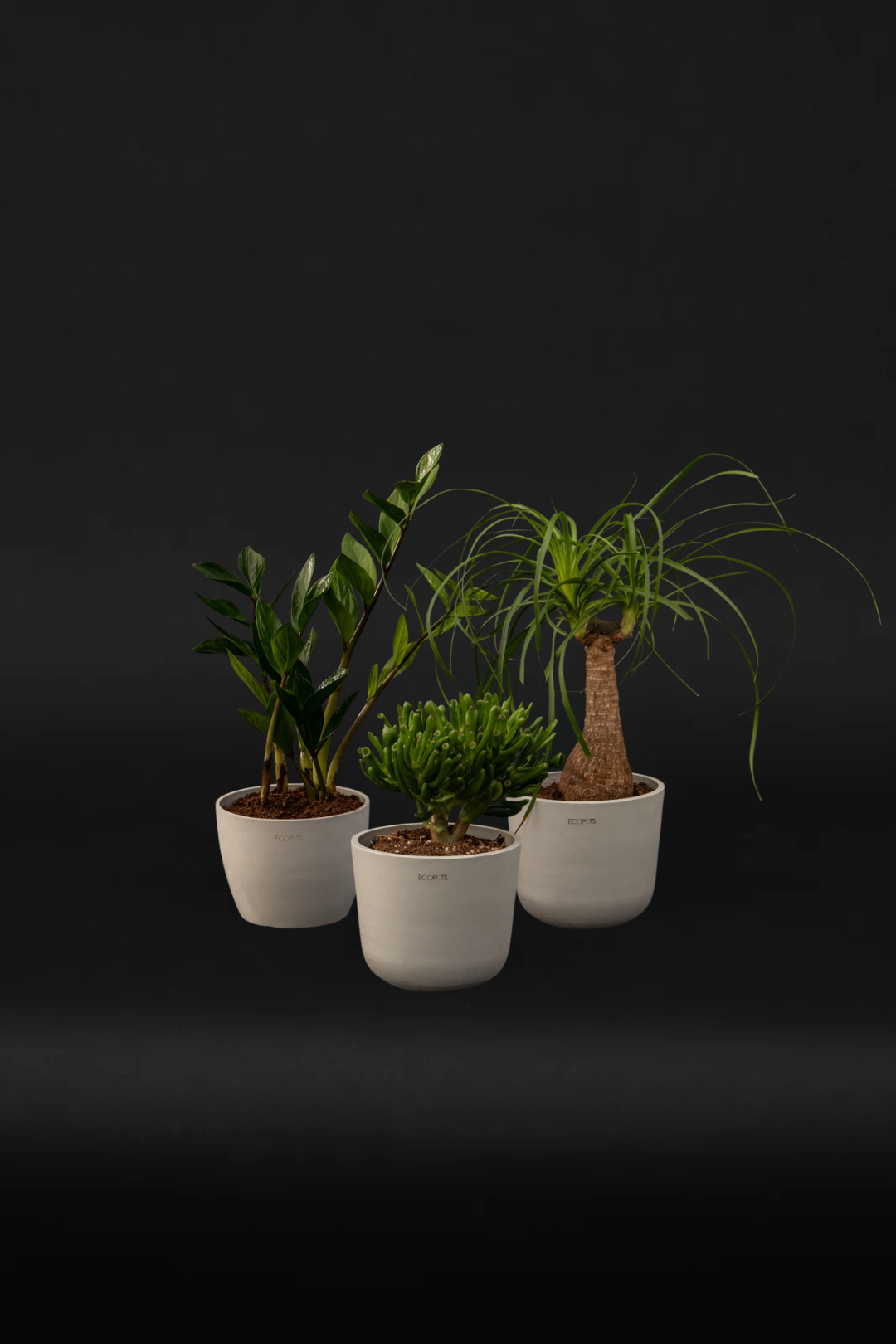 Beginner’s Set