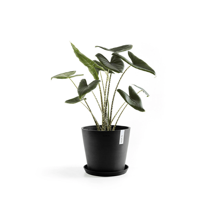 Чинийка Ecopots Saucer 40 Dark Grey