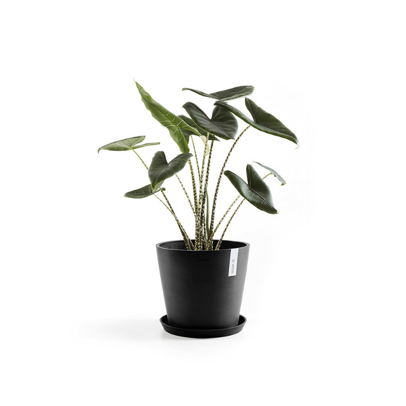 Чинийка Ecopots Saucer 40 Dark Grey