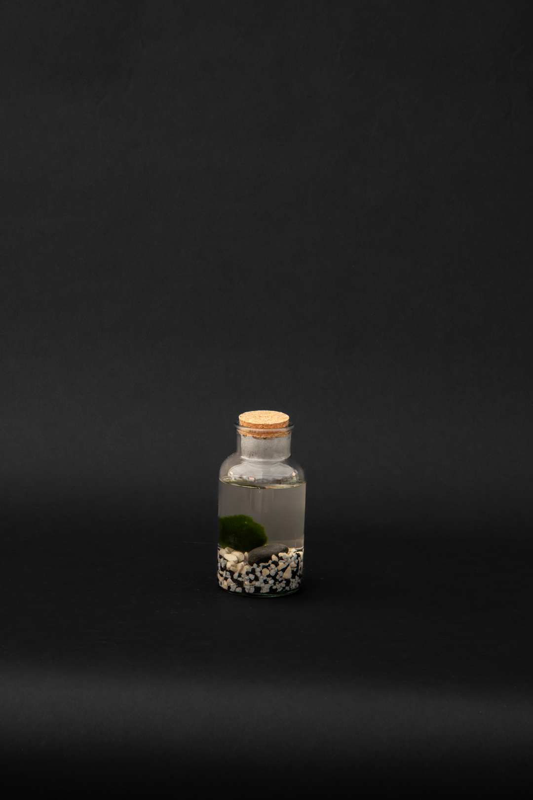 Маримо - Marimo