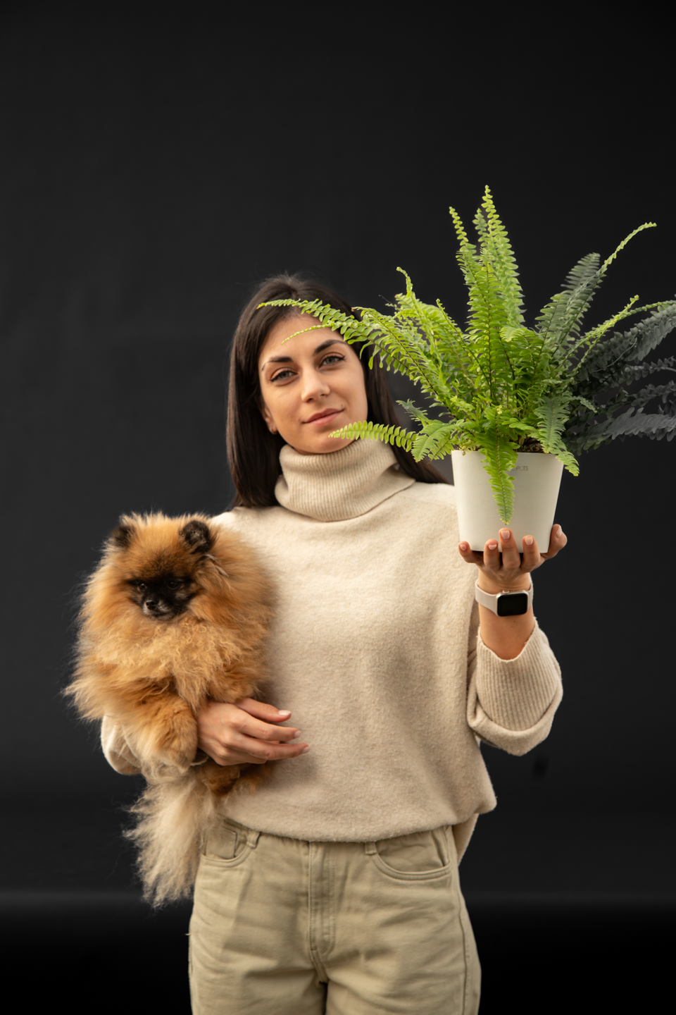 Папрат - Nephrolepis exaltata