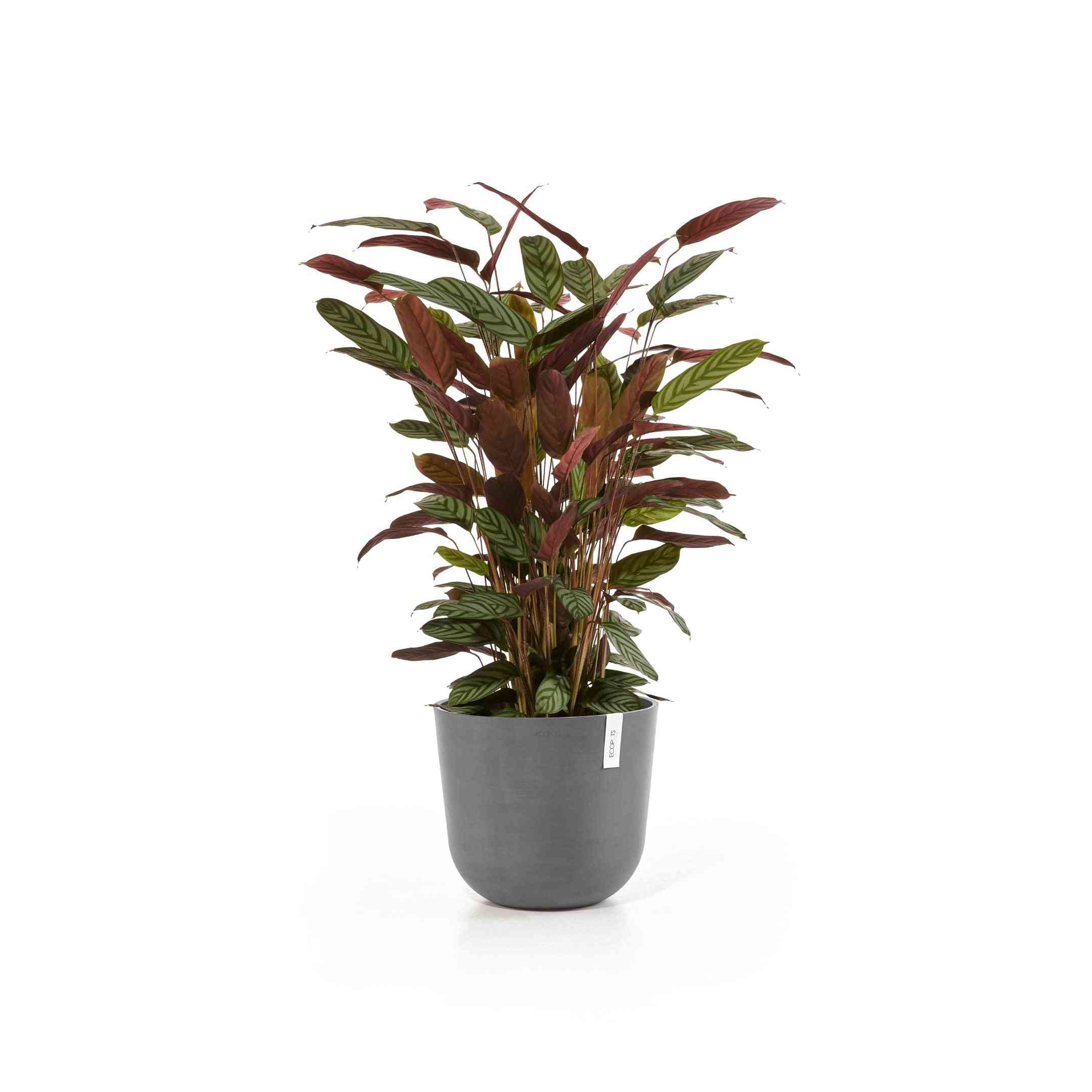 Ecopots Oslo 35 Grey + Water Reservoir