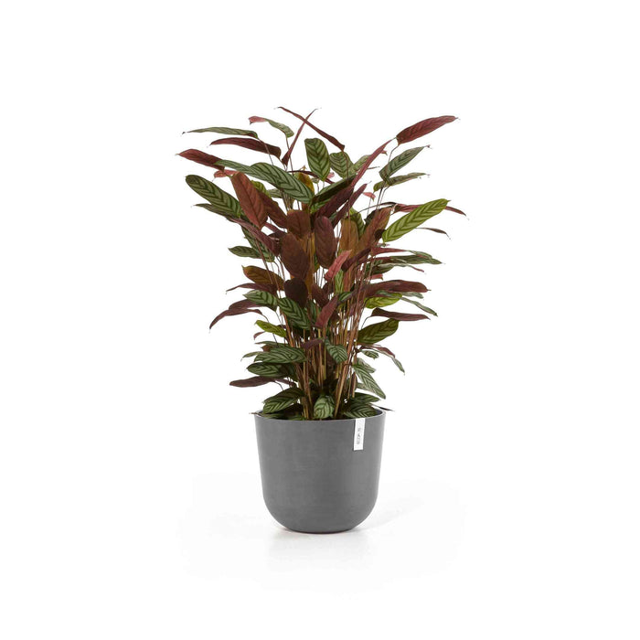 Ecopots Oslo 35 Grey + Water Reservoir