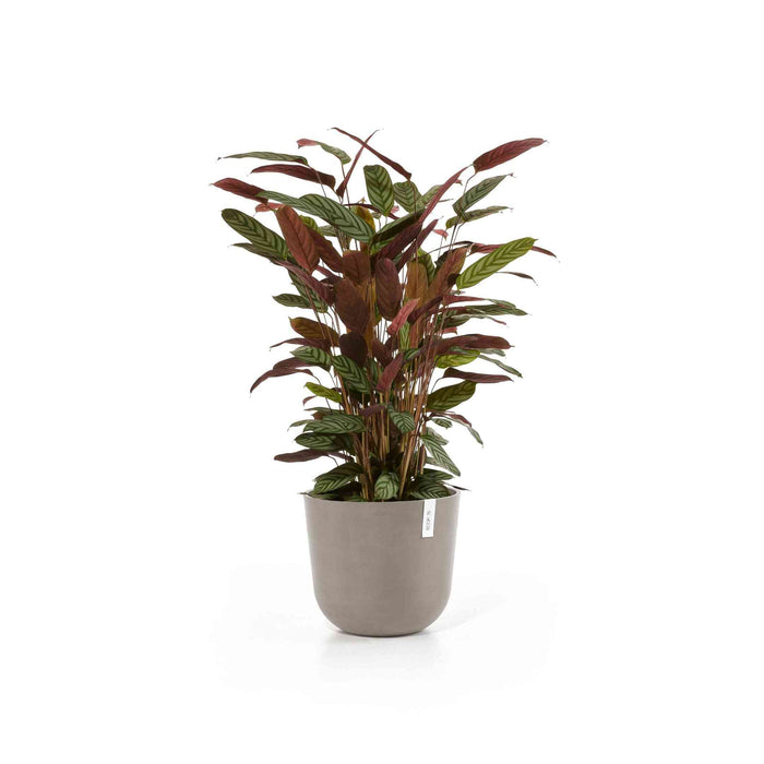 Ecopots Oslo 35 Taupe + Water Reservoir