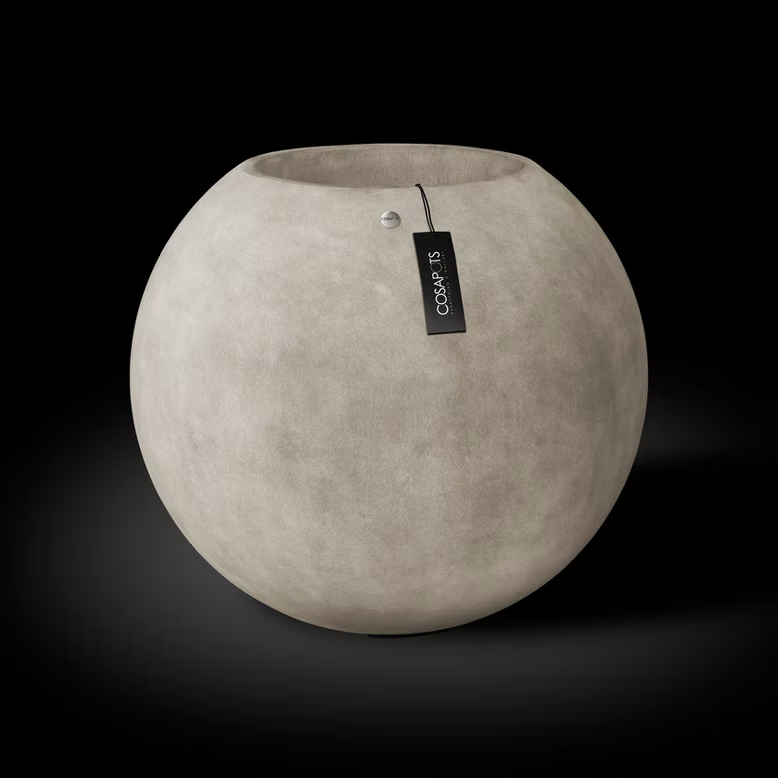 Orbo