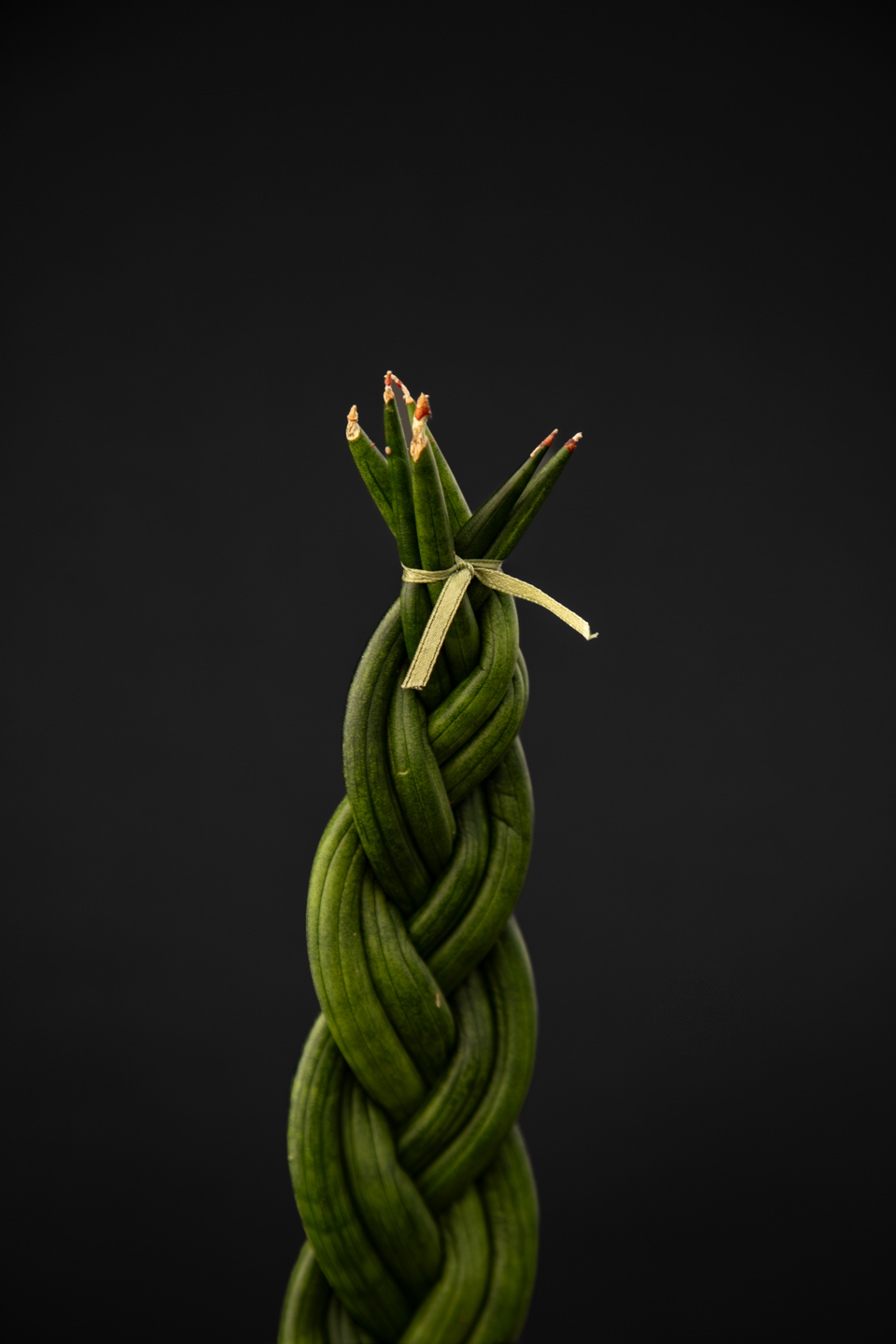 Сансевиера - Sansevieria Braided Big