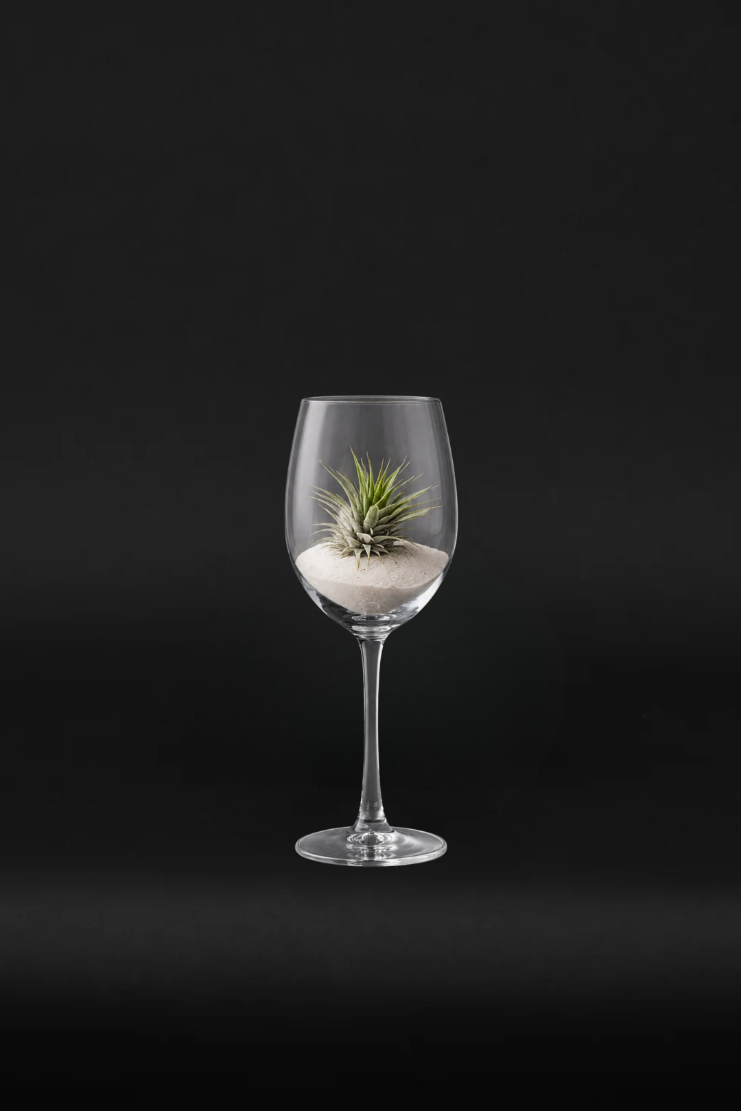 Mother's wine