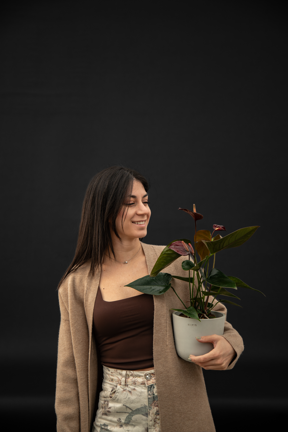 Антуриум - Anthurium Black love