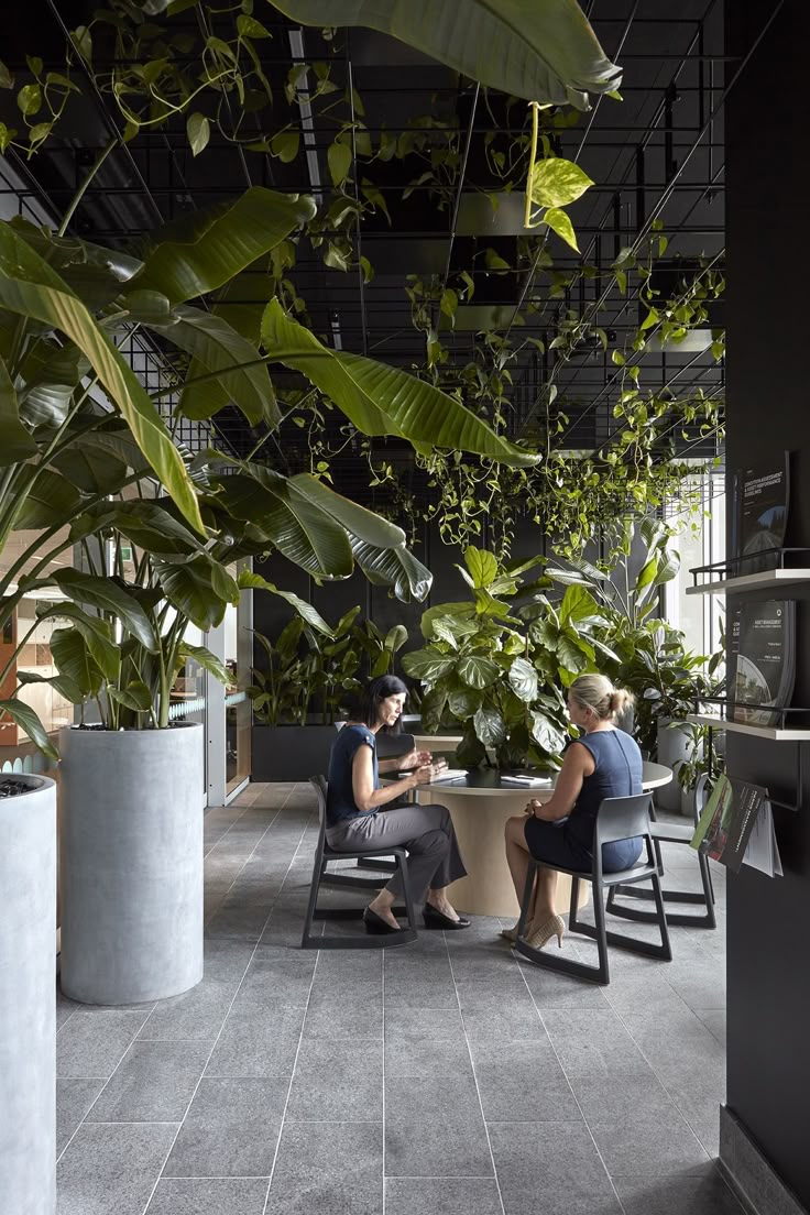 interior landscaping