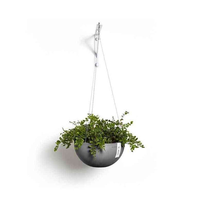 Ecopots висящ саксия с зелени растения за дома и градината
