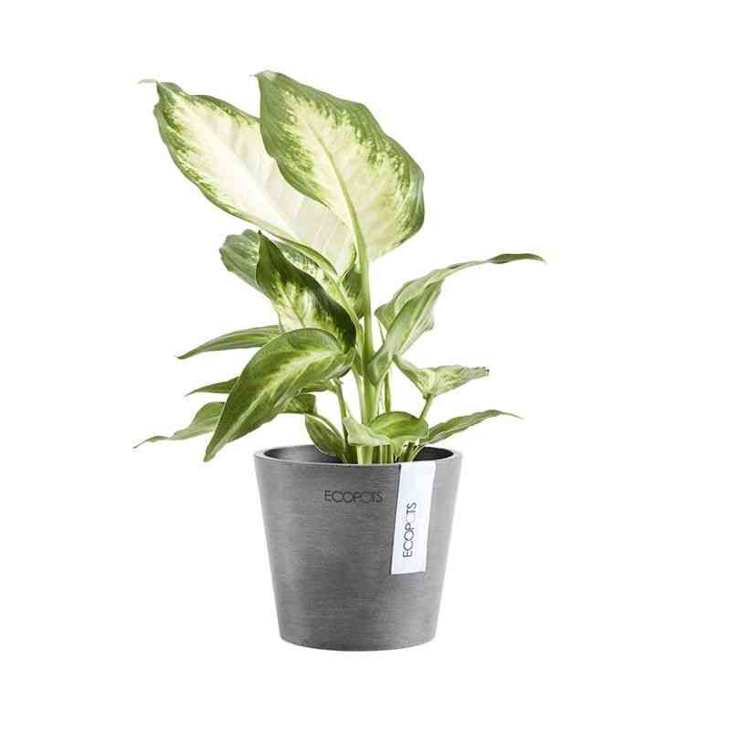 Градинска саксия Ecopots за стайни растения