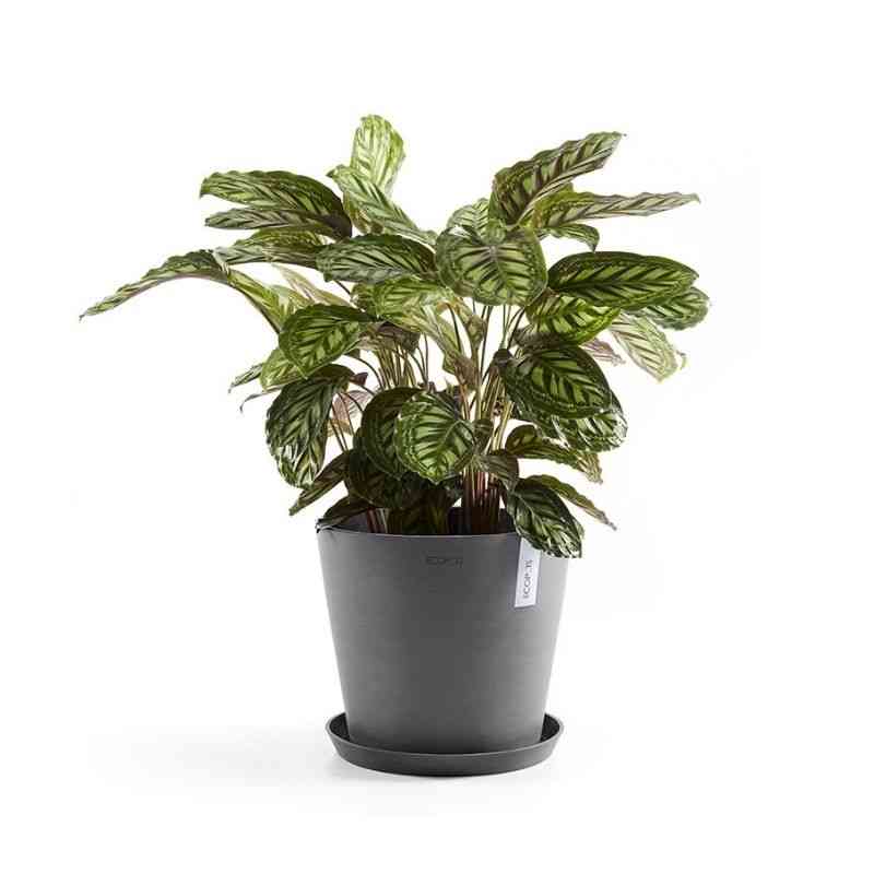 Градинска саксия Ecopots сива за стайни растения