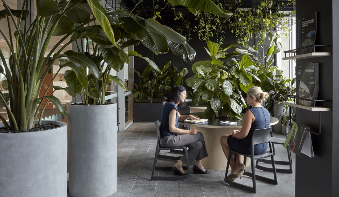 interior landscaping