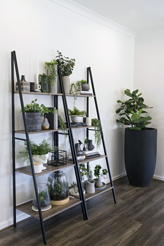 interior landscaping