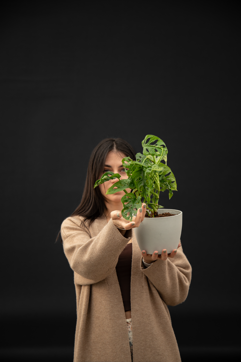 Монстера - Monstera Monkey mask