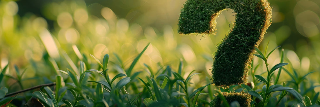 plants-faq