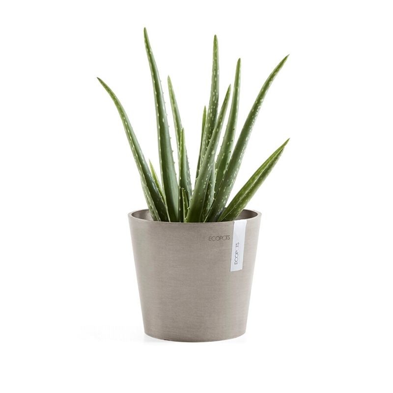Ecopots Amsterdam Mini 17 Taupe