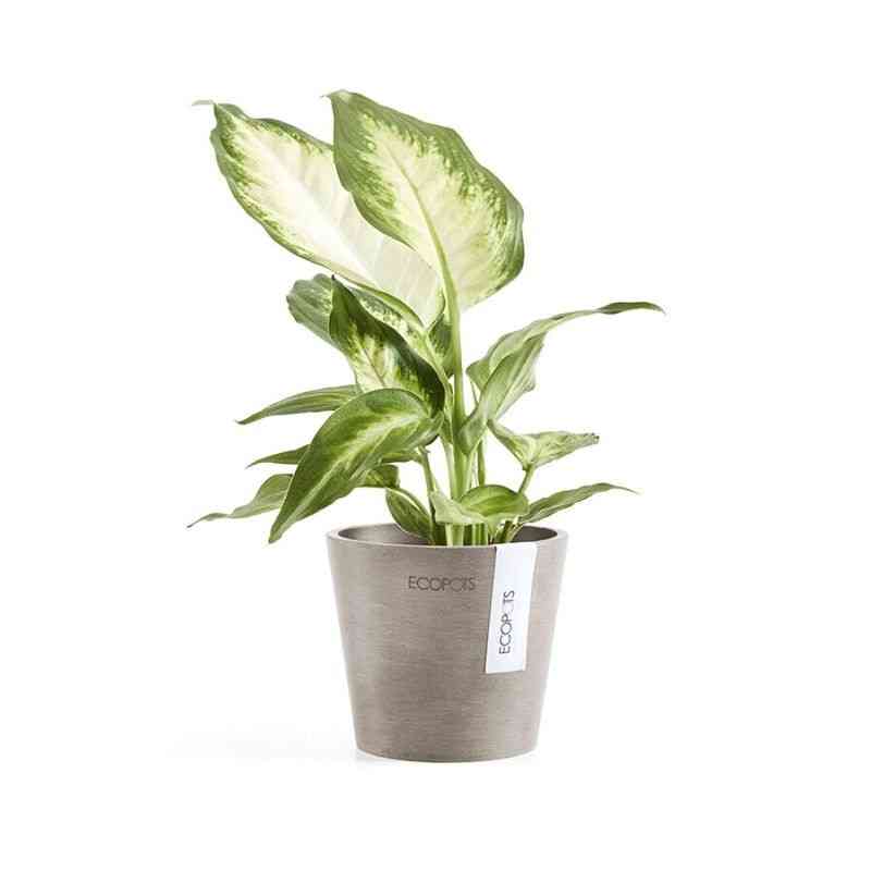 Еко саксия Ecopots за градина и интериор