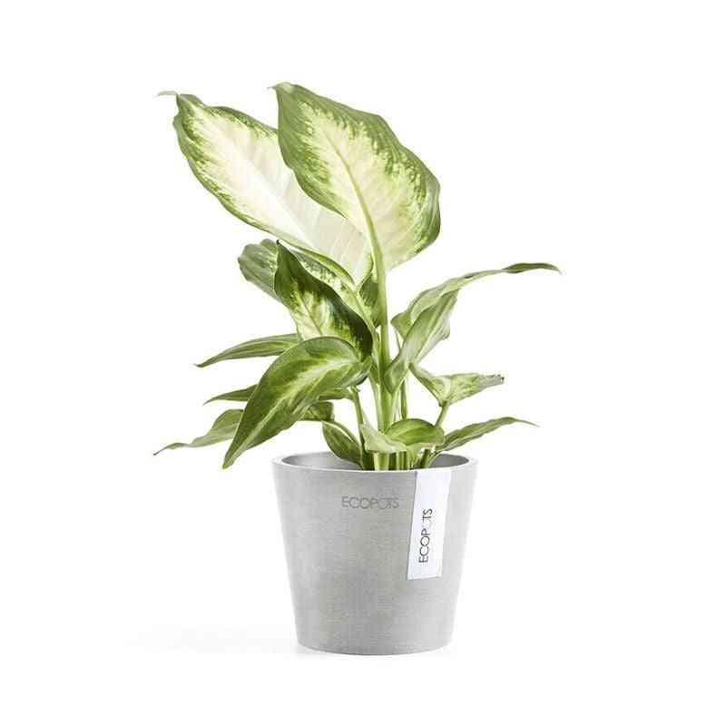 Стайно растение в бяла саксия Ecopots Amsterdam Mini 10,5
