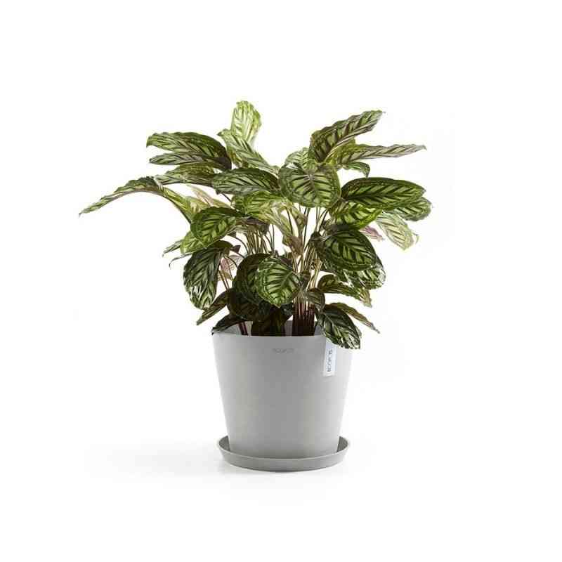 Кръгла чинийка за саксия Ecopots за стайни растения