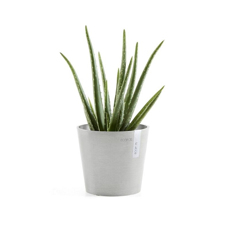 Ecopots Amsterdam Mini 17 White Grey